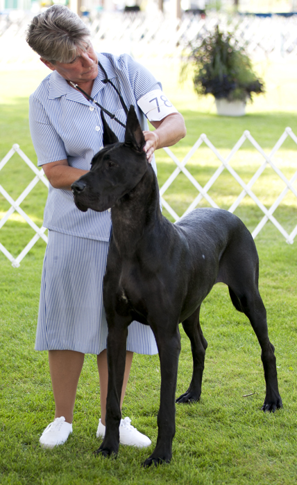 Thornhill's Irish Lullaby of Katcrew