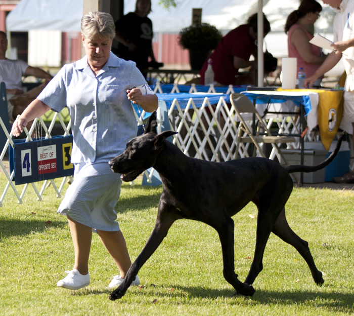 Thornhill's Irish Lullaby of Katcrew
