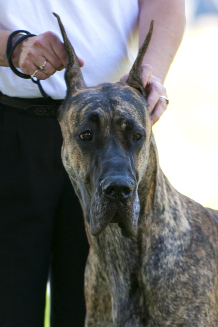 Vonscheer's Dollars and Sense of Bryncrest