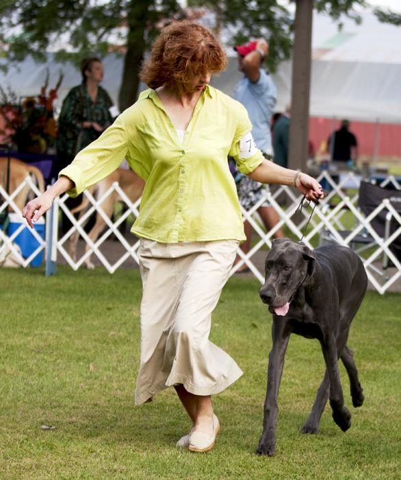 Wifasa BWD's All That Jazz