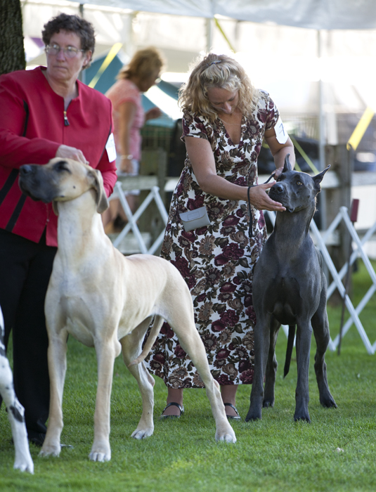 Winners Bitch Lineup