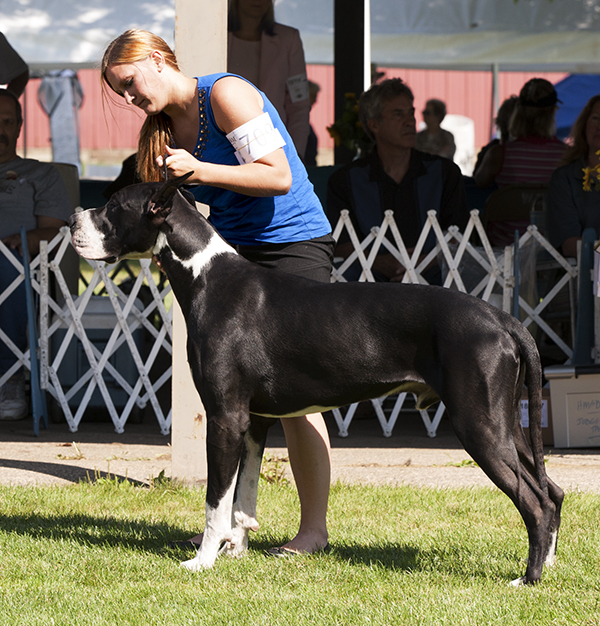 Chanoz Sweet Treat v Eye Candy