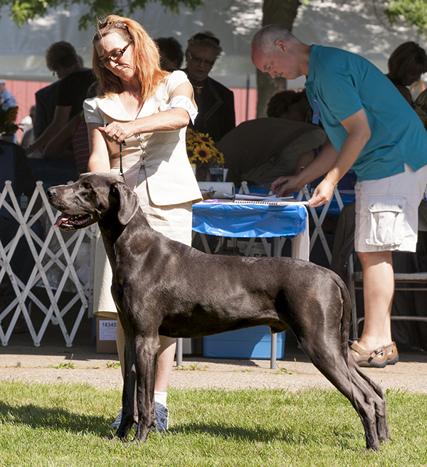 Sterling's Dewitt  Out of This World v Dark Horse