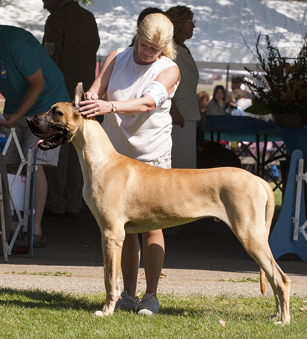 Northwind Rock You Like A Hurrican