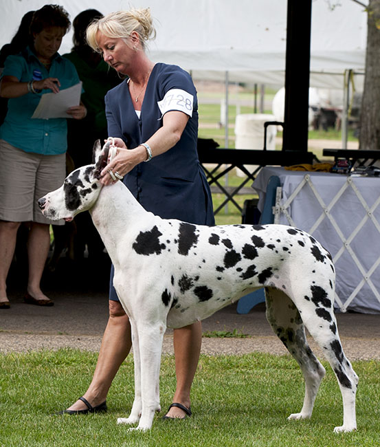 ABW KRW One In A Million