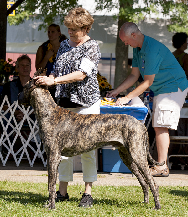 VonScheer's Full House 5 of Devon