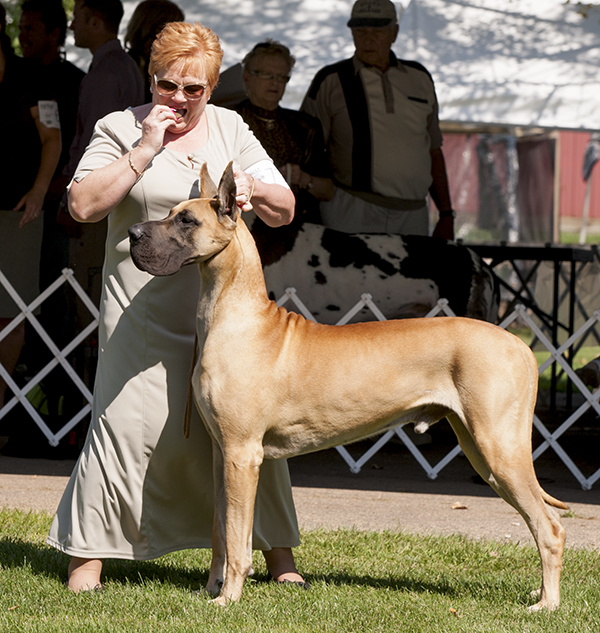 Hauerdane's Ive Got The Magic N' Me