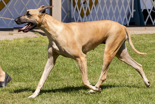 CH McEmn's The Way We Were