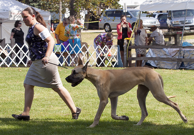 Lamona's Reflection of Baylor