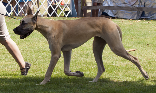 Lamona's Reflection of Baylor