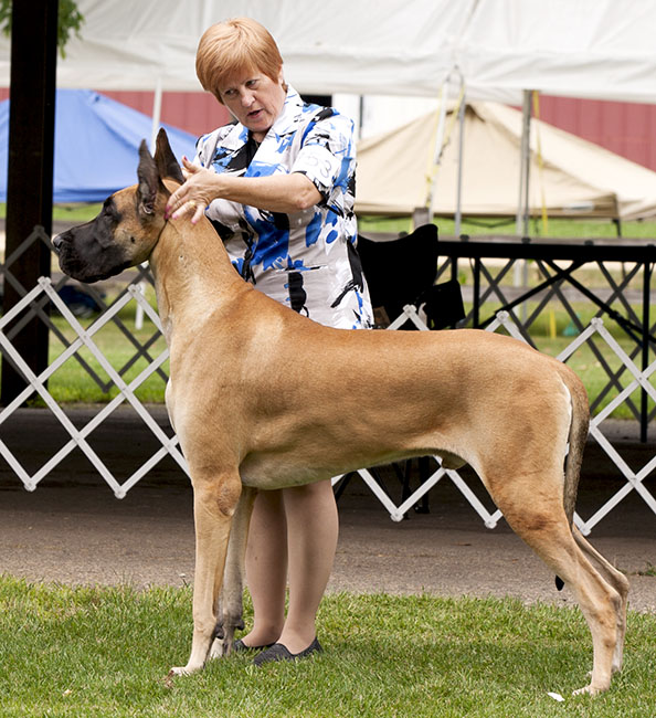 CH Alpine's Ice Warrior v Hawthorne