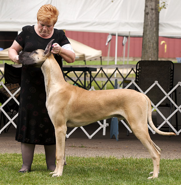 CH Gracyn Lost Creek The Descendant of Elan