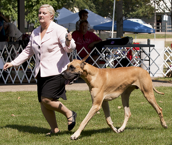 CH Summer Meadow 's Veni Vidi Vici