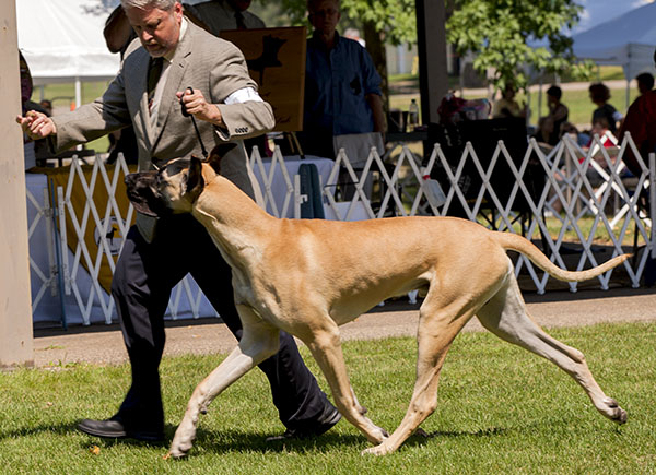 CH Stargazn At World's End v Mesaba