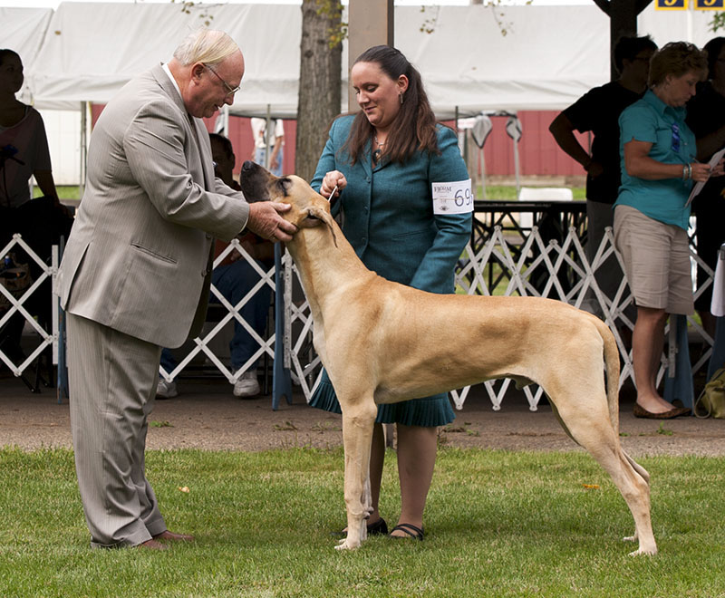 Saul's In Your Honor