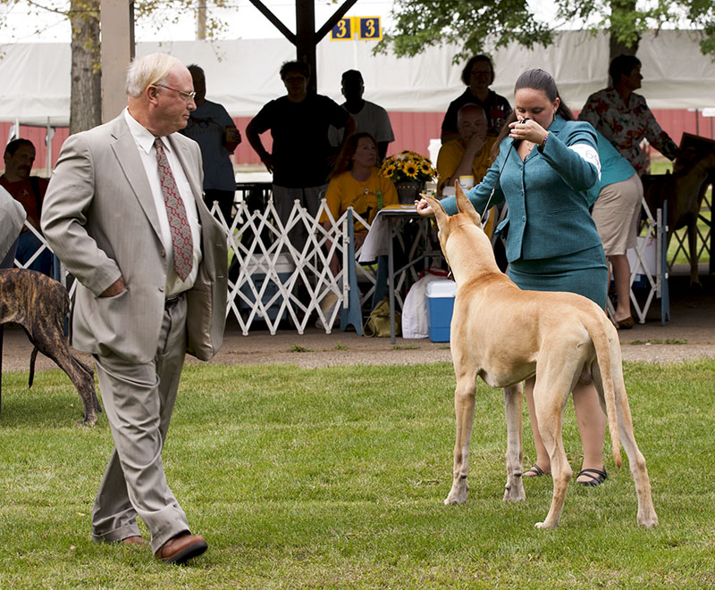 Chipper - Saul's In Your Honor
