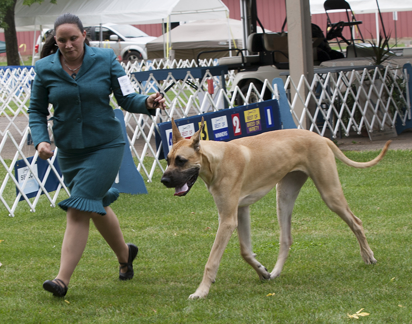 Chipper - Saul's In Your Honor