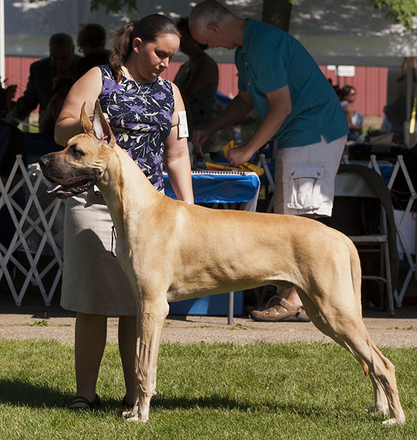 Chipper - Friday Specialty
