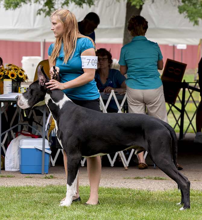 Chanoz Sweet Treat v Eye Candy