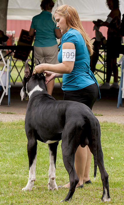 Chanoz Sweet Treat v Eye Candy