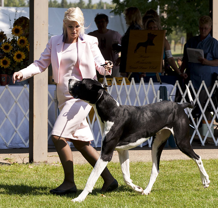 Chanoz Whirlwind Atmospheric Pressue