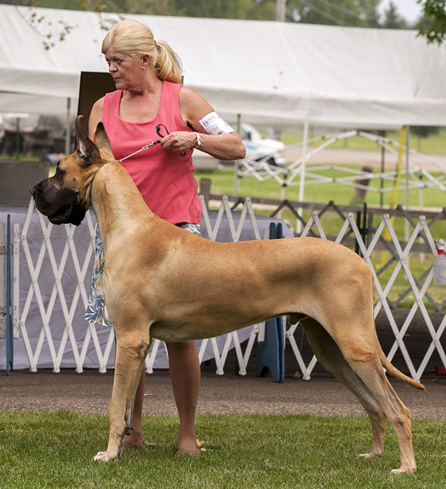 Capstone's Templar O'Northwind