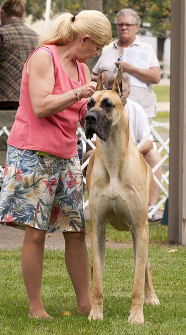 Capstone's Templar O'Northwind