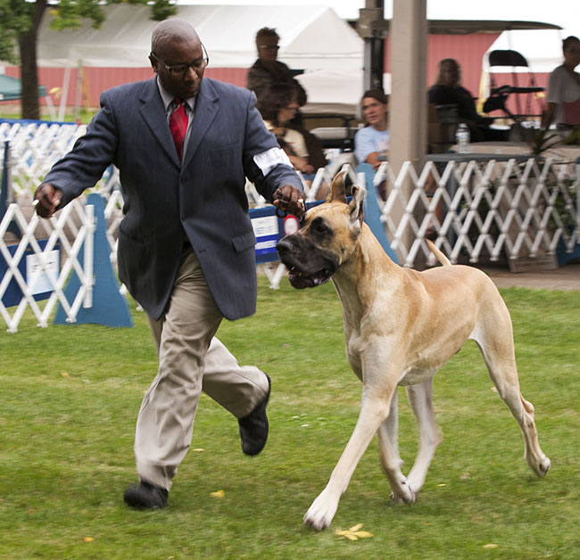 Dundane's Over The Moon