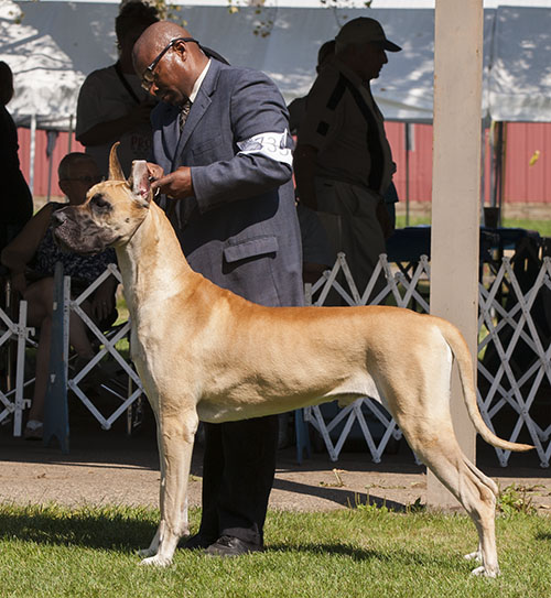 Dundane's Over The Moon