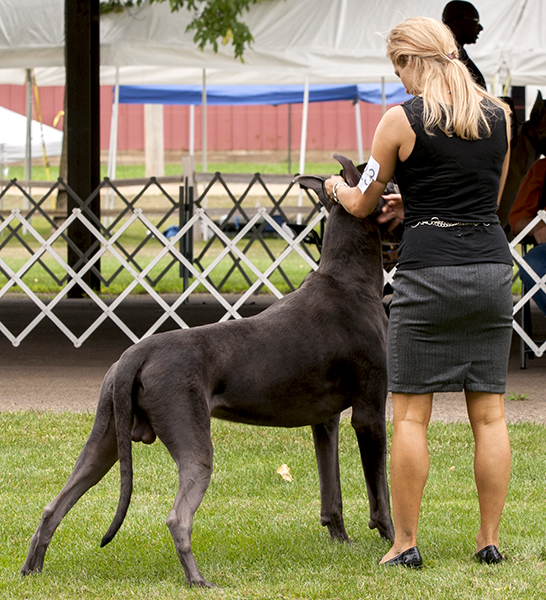 Dreamkeeper's Great Adventure v Stuhr