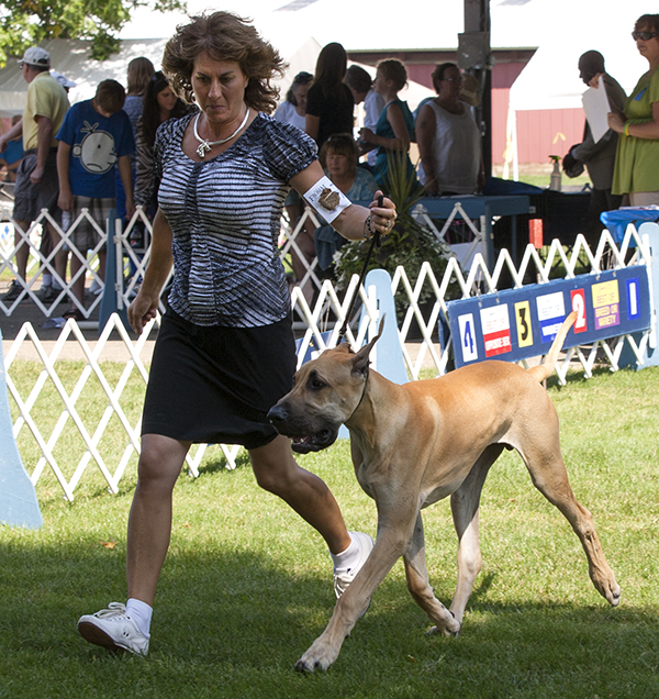 Divine Acres Georgie Girl