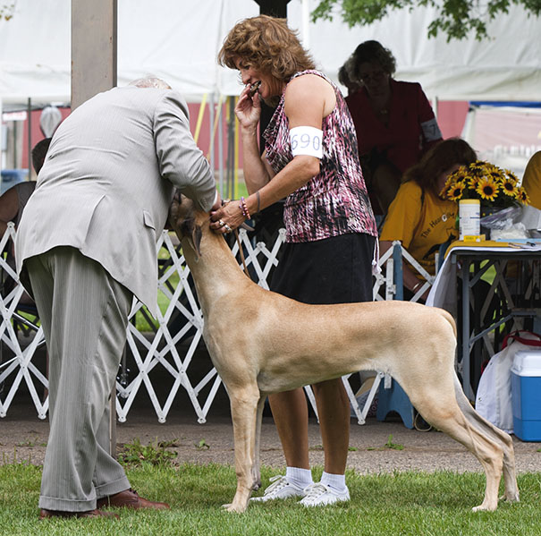 Divine Acres Georgie Girl