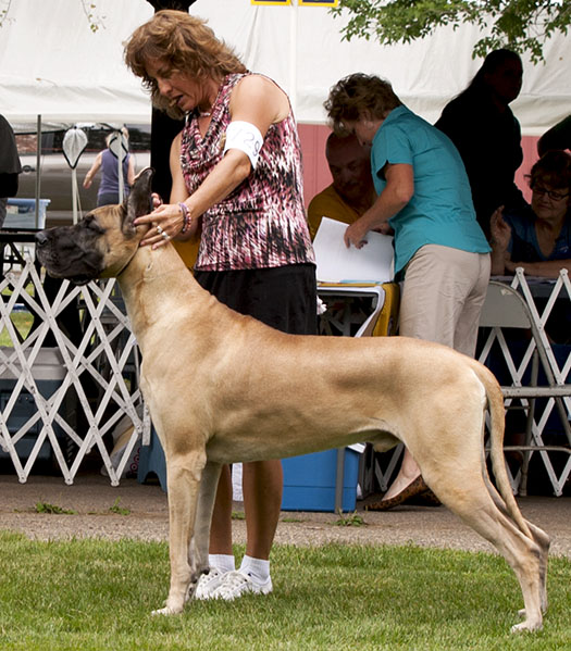 Divine Acres Jazz Man