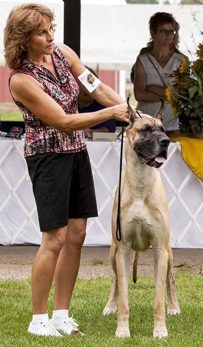 Divine Acres Jazz Man