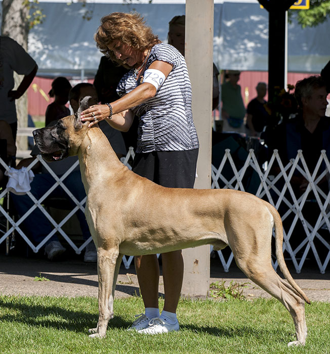 Divine Acres Jazz Man