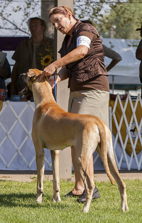 Fireside Chelsea Morning At Kohinoor