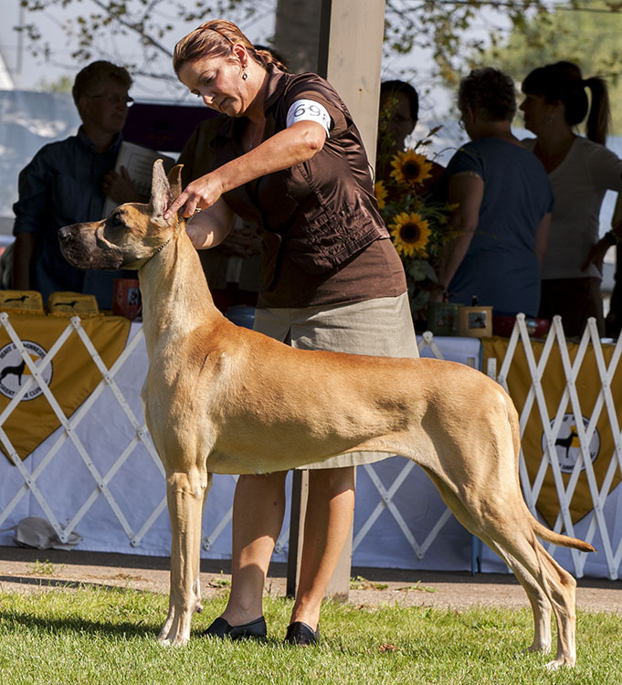 Fireside Chelsea Morning At Kohinoor