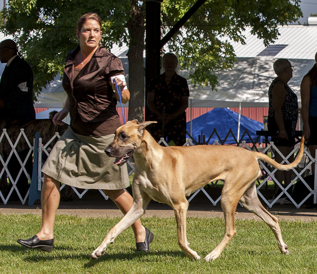 Fireside Chelsea Morning At Kohinoor