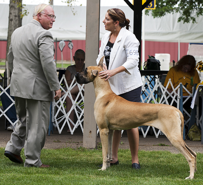 Fireside Chelsea Morning At Kohinoor