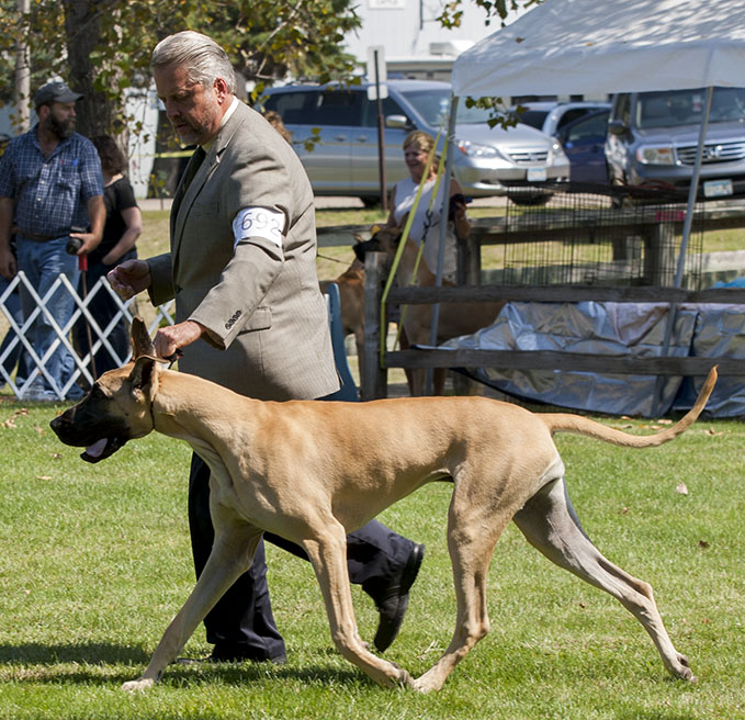 Gracyn N Lost Creek Answered Prayer