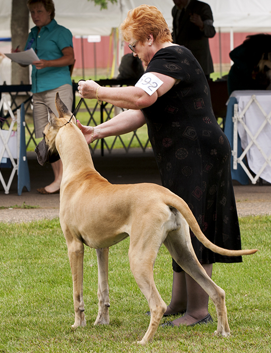 Gracyn N Lost Creek Answered Prayer
