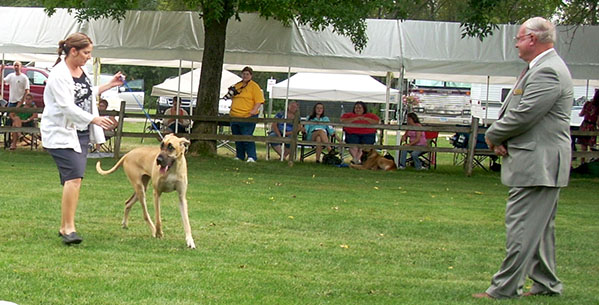 Melanie Chaput Harding