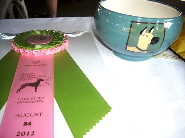 Sweeps Ribbon and Prize