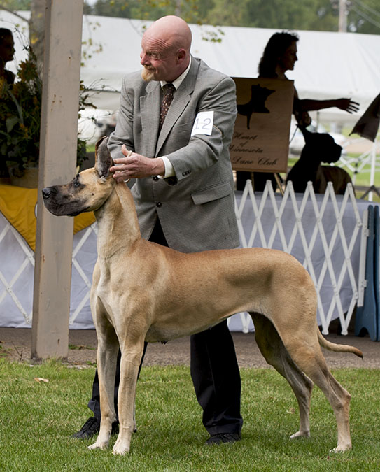 Joha's Overwhelmed By Grace