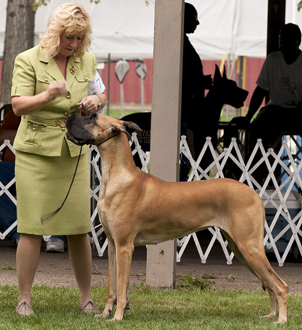 Journey's Capture The Moment