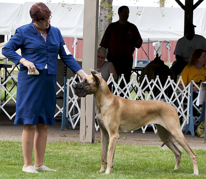 Kemac's Girls Just Wanna Have Fun!