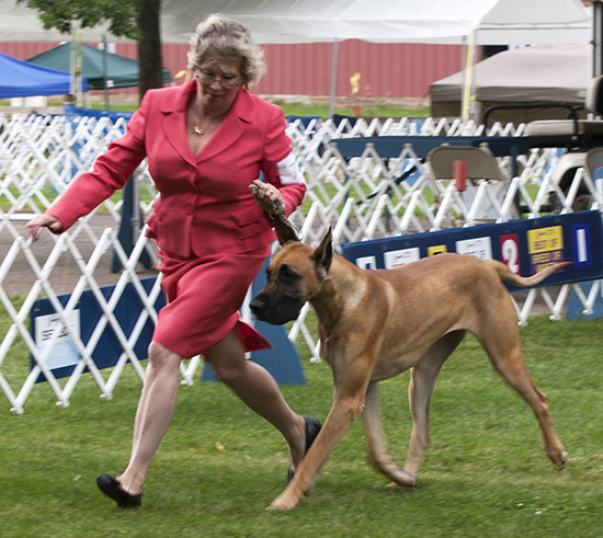 Kemac N Leinenstone's Sumr Shandy