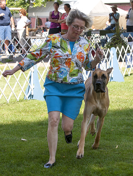 Kemac N Leinenstone's Sumr Shandy