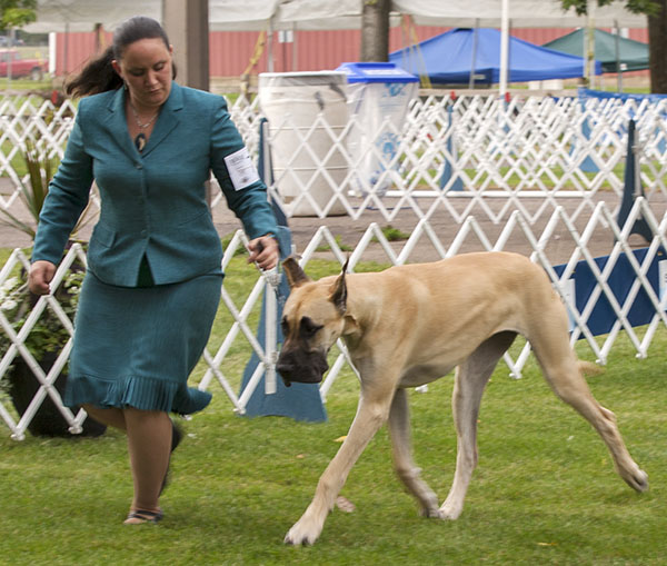 Lamona's Reflection of Baylor