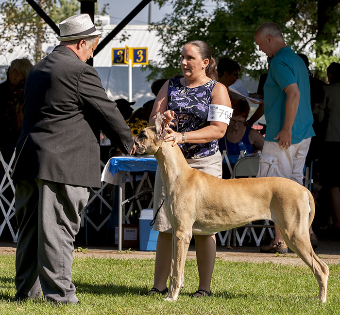 Lamona's Reflection's Of Baylor